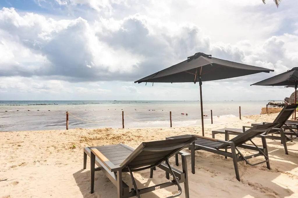 Amazing Beach Front Condo At Elements Playa Del Carmen Apartment
